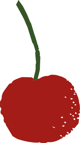 Burlat cherry variety